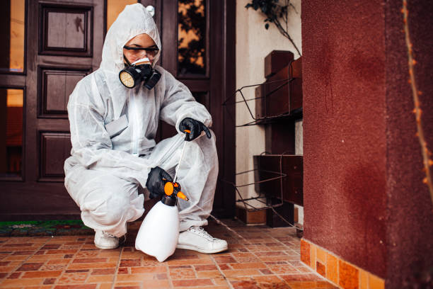 Reliable Ant Control contractor in Burtonsville, MD by Show Me Pest Control